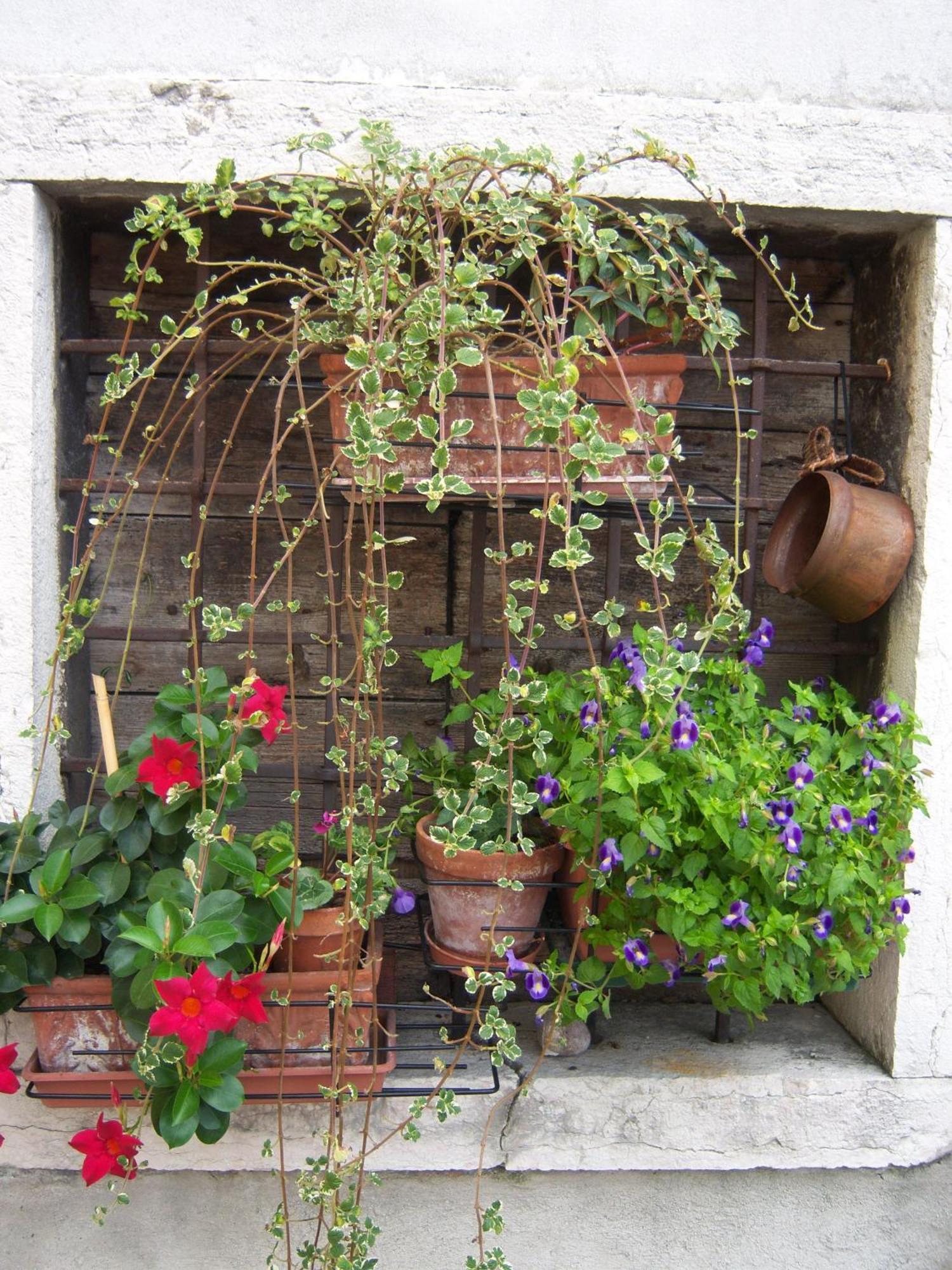 B&B Corte Barbieri Dolcè Extérieur photo